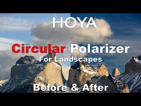 Filtro Polarizador Circular Hoya 52mm